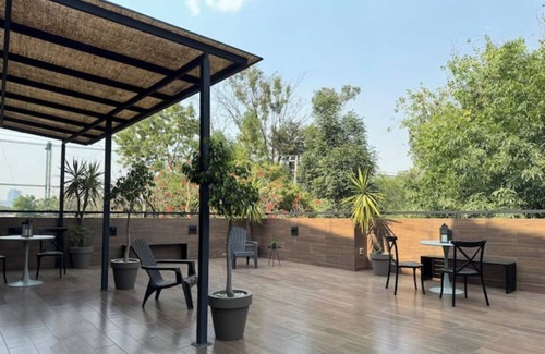 Roma Sur House | Designer's Home in la Roma