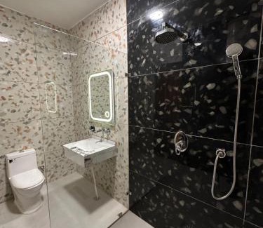 Janakpuri House | Desire Courtyard