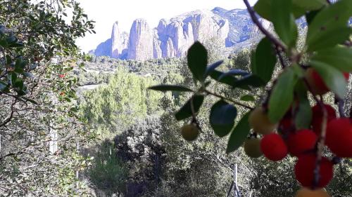Yeste Apartment | Despertar en Riglos