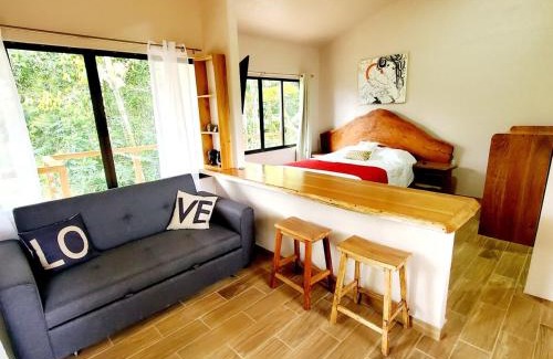 Chachagua Apartment | Destiny Homes, Observatory Apartment with Pool