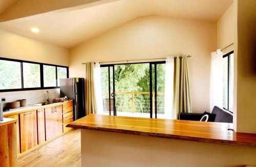 Chachagua Apartment | Destiny Homes, Observatory Apartment with Pool