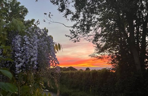 Halesworth Cottage | Detached 4 bed cottage 10 mins from the Suffolk coast