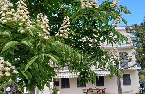 Colonnella Apartment | Detached apartment in a very quiet area, with garden available