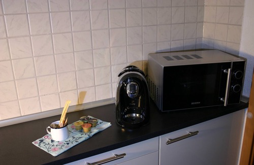 Mehren Apartment | Detached holiday home, Apartment 2/for 2-4 persons, W-LAn free