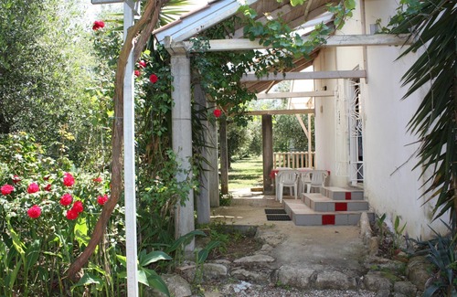 Myrtea House | Detached holiday house amid an olive grove, calm and idyllic located | Ilia, Pel