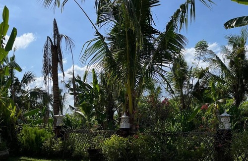 Jasri Villa | Detached house on beautiful location with direct views of rice fields and sea