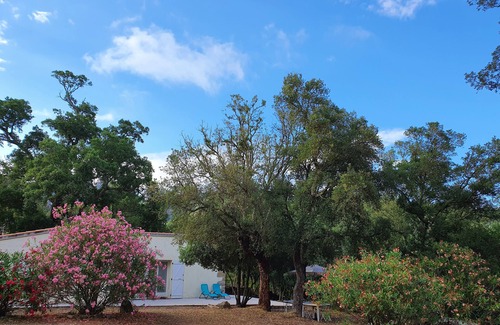 Conca House | Detached house on wooded land, quiet, between sea and mountains.