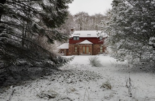 Carnoustie Cottage | Detached Renovated Cottage in woodland location.