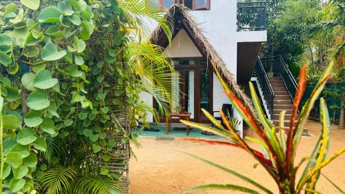 Kimbissa House | Dew Ashi Homestay