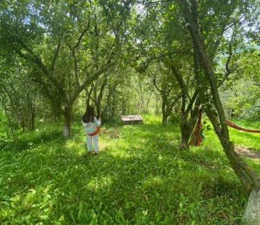 Aghavnadzor House | Dez Guest House