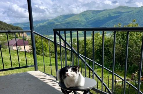Aghavnadzor House | Dez Guesthouse with Mountain View near Dilijan