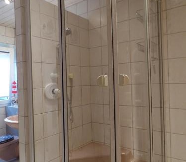 Steinwenden Apartment | DG Wohn-Schlafraum mit Bad