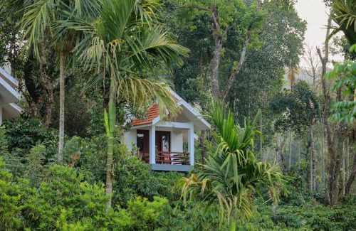 Vayittiri House | Dhanagiri Homestay Wayanad