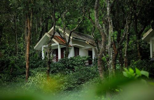 Vayittiri House | Dhanagiri Homestay Wayanad