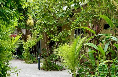 Dhangethi House | Dhangethi Retreat