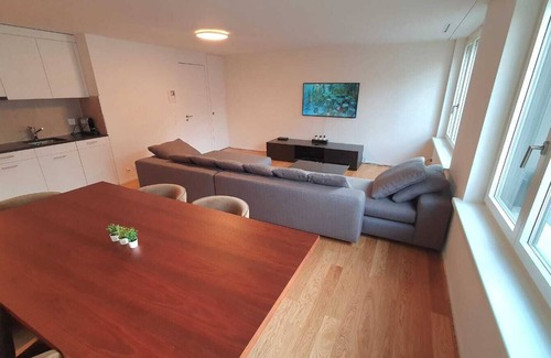 District 2 Apartment | DHG Luxury Apartments Zurich-Wollishofen