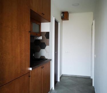 Ohid Apartment | Dióliget