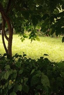 Malindi Marine National Park House | Diamond homes - 001