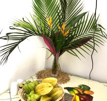 Soufriere Apartment | Diamondview Cherry Studio
