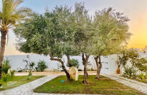 Mezraia House | Diar_haroun