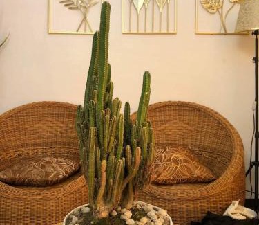 Angono Resort | Dicimulacion Staycation House