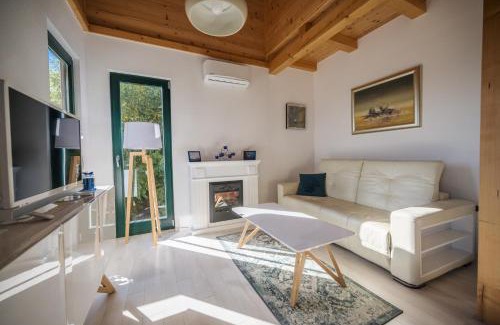 Kupljenovo House | Didov san