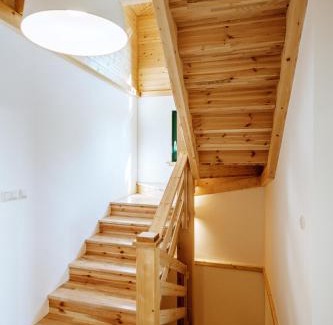 Kupljenovo House | Didov san