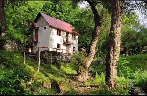 Dilijan Cabin | Dili dzor