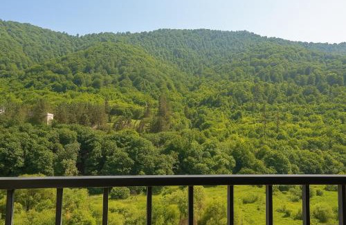 Dilijan Apartment | Dilijan Nature House