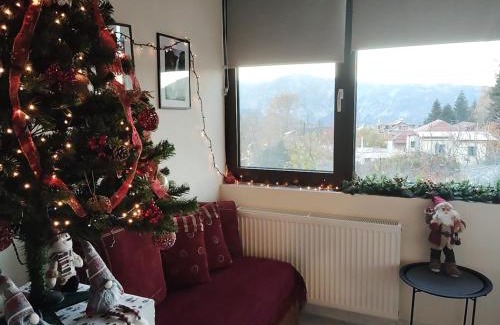 Central Tzoumerka Apartment | Dimitra's traditional house