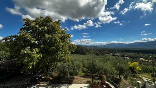Colli al Volturno Bed & Breakfast | Dimora Ippocastano