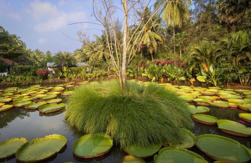Medicherlapalem Hotel | Dindi RVR, A Club Mahindra Associate Resort