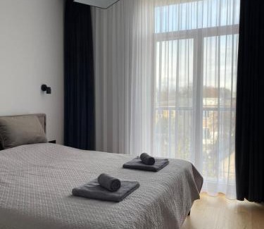 Druskininkai Apartment | Dineikos apartamentai