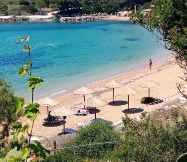 Kounopetra Apartment | Dionisis Apartments