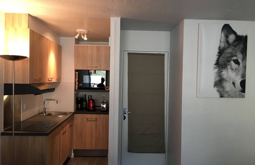 Puy-Saint-Vincent Apartment | Direct access to the slopes, 6-bed apartment with balcony south of resort 1600