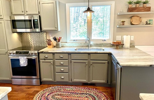 Brevard House | Direct Lakefront Connestee Falls- Views + private dock + 4 kayaks + flat yard