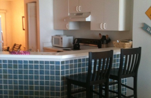 Seawinds Condo Condo | Direct Oceanfront Condo w/Free WiFi on No-Drive Beach