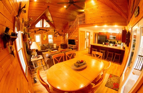 Demorest House | Discount June 21-28! Luxury River House, hot tub, kayaks, fire pit, dogs OK