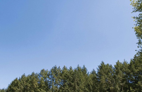 Cublize Ski Chalet | Discover Camping Le Lac des Sapins, a charming address in the heart of nature.