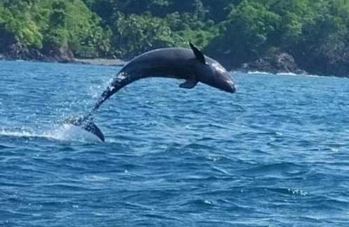 Santa Catalina Other | Discover Coiba Panama Tour