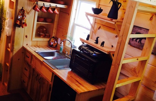 Newport Cabin | Discover Serenity at TinyFox Cabin: Your Perfect Getaway Surrounded by Nature