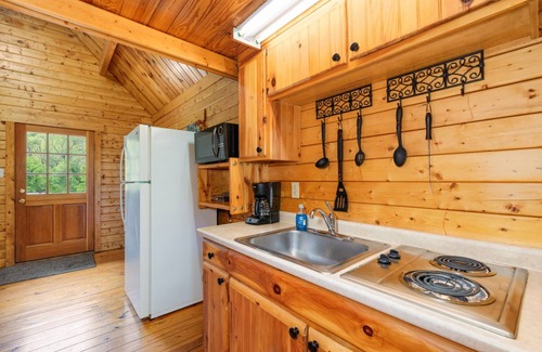 Rileyville Cabin | Discover Shenandoah River steps away! Cozy 2-bedroom Luray cabin.
