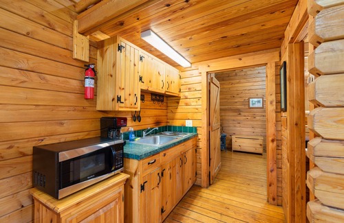Rileyville Cabin | Discover Shenandoah River steps away! Cozy 2-bedroom Luray cabin.