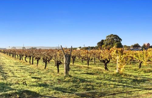 Caversham Resort | Discovery Parks - Swan Valley