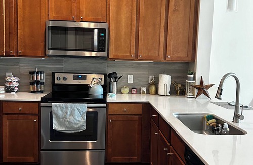 Central Business District Apartment | Distinct Houston Luxury Downtown W/kingbed