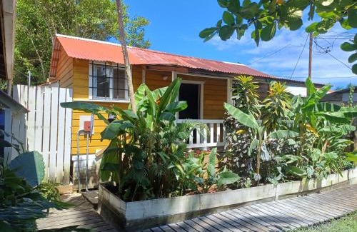 Carenero Island Apartment | Dive and Surf 3