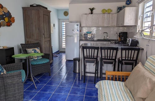 Sabana Westpunt House | DIVE FROM YOUR DOORSTEP! Oceanview Townhome with Diving Amenities at Marazul E1