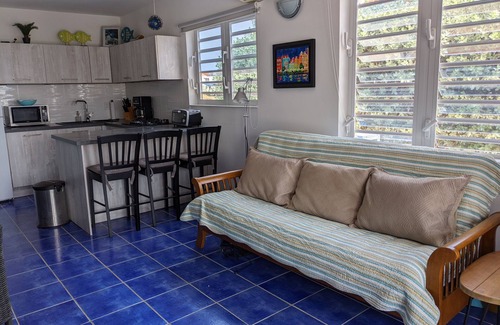 Sabana Westpunt House | DIVE FROM YOUR DOORSTEP! Oceanview Townhome with Diving Amenities at Marazul E1
