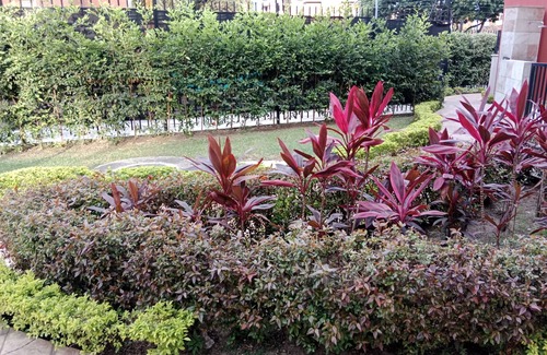 Menga Apartment | Divento