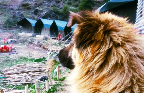 Tosh RV Rental | Divine Moments Of Tosh camping and Trekking